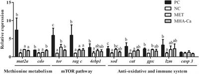 Comparative study on the effects of crystalline L-methionine and methionine hydroxy analogue calcium supplementations in the diet of juvenile Pacific white shrimp (Litopenaeus vannamei)